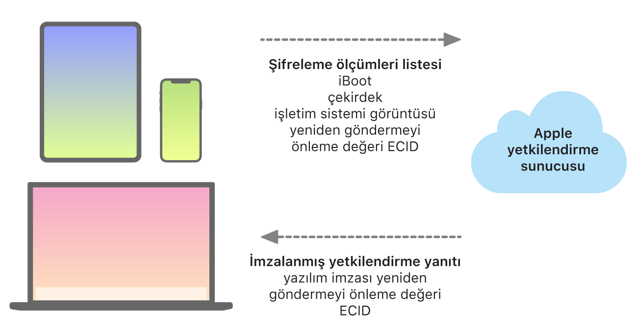 Apple aygıtlarının bilgileri Apple yetkilendirme sunucusuna göndermesini ve sunucunun da aygıtlara yanıt göndermesini gösteren diyagram.
