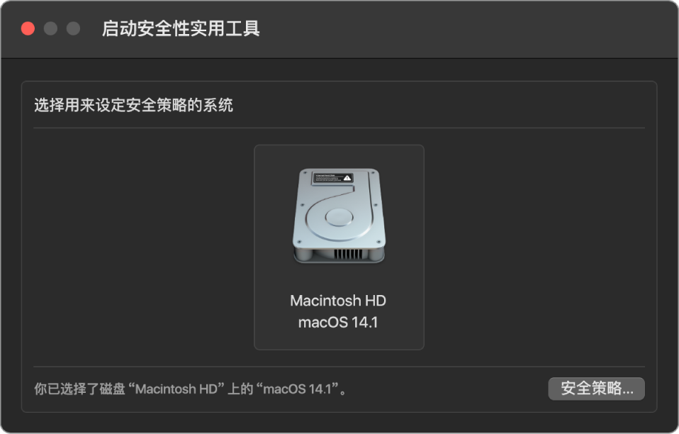 “启动安全性实用工具”中的操作系统选择器面板，显示要指定其安全性策略的 Macintosh HD。右下角是为所选宗卷打开“安全性策略”选项的按钮。