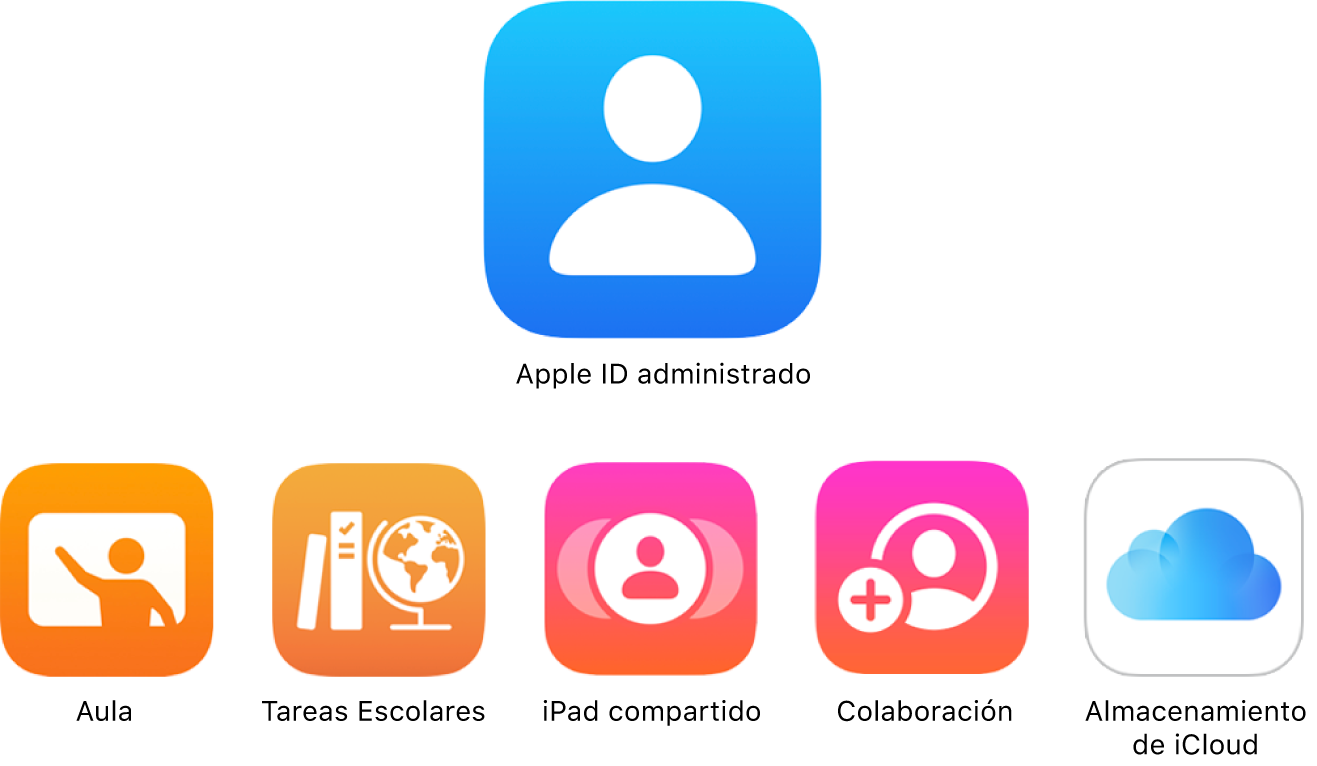 Un diagrama mostrando cómo los Apple ID administrados pueden acceder a una variedad de servicios de Apple.