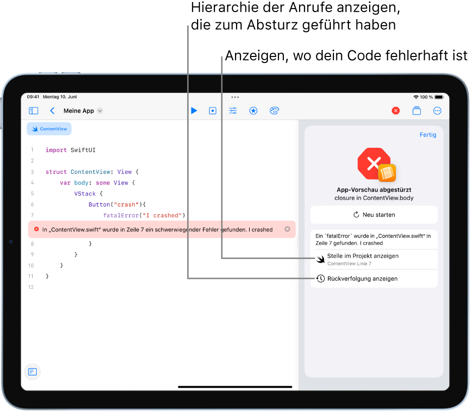 Ein Bildschirm mit Informationen über den Absturz, der beim Ausführen der App aufgetreten ist.