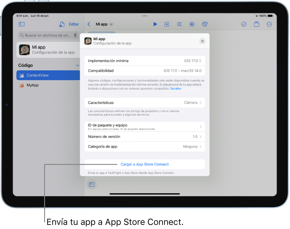 La ventana Configuración de la app de una app. Puedes usar los controles de esta ventana para identificar tu app y subirla a App Store Connect.