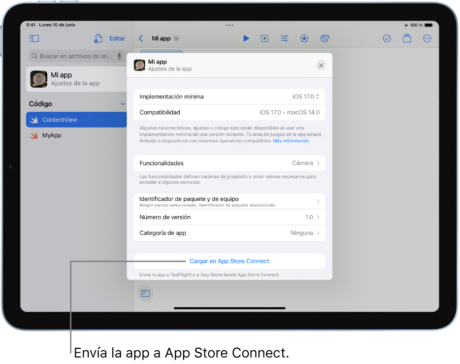 La ventana “Ajustes de la app” de una app. Puedes usar los controles de esta ventana para identificar tu app y cargarla en App Store Connect.