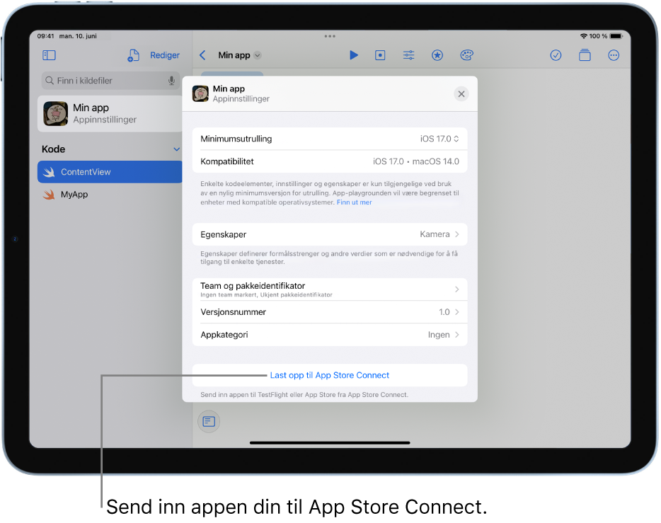 Appinnstillinger-vinduet for en app. Du kan bruke kontrollene i dette vinduet til å identifisere appen din og til å laste den opp til App Store Connect.
