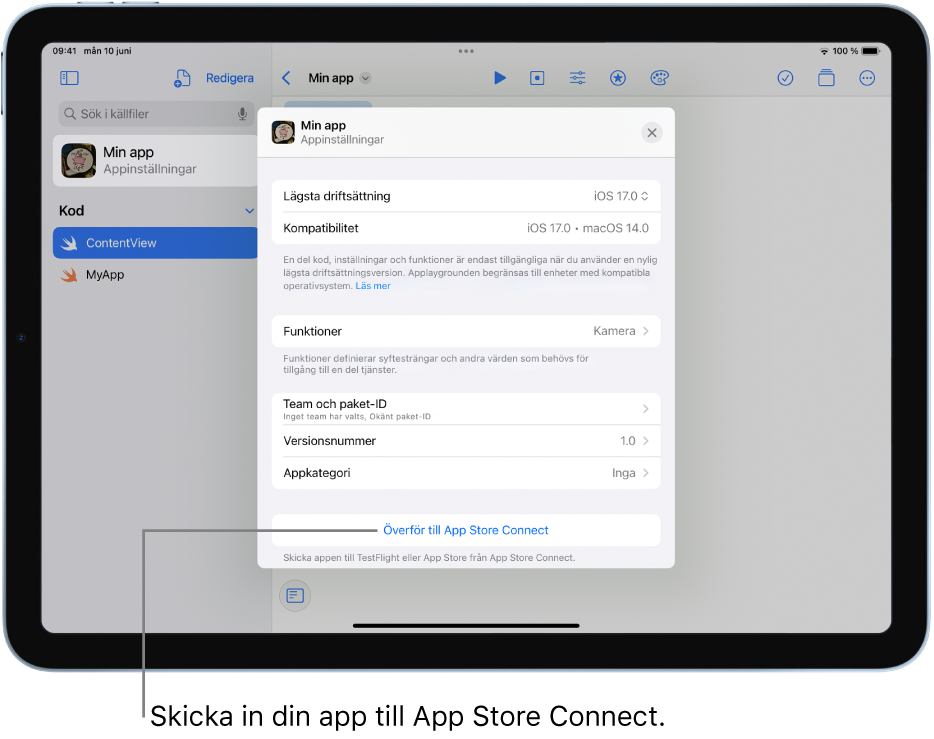Appinställningsfönstret för en app. Du kan använda reglagen i det här fönstret till att identifiera appen och överföra den till App Store Connect.
