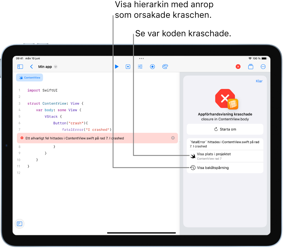 En skärm visar information om en krasch som inträffade vid körning av appen.
