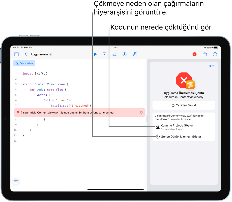 Uygulamanın çalıştırılması sırasında oluşan bir çökmeyle ilgili bilgileri gösteren ekran.