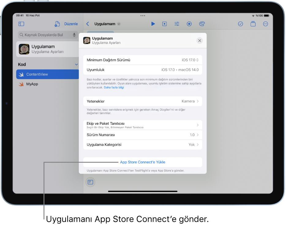 Bir uygulama için Uygulama Ayarları penceresi. Uygulamanı tanımlamak için bu penceredeki denetimleri kullanabilir ve onu App Store Connect’e yükleyebilirsin.