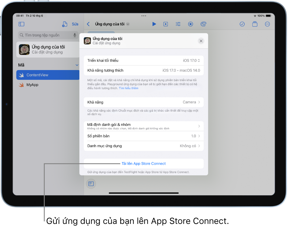 Cửa sổ Cài đặt ứng dụng cho một ứng dụng. Bạn có thể sử dụng các điều khiển trong cửa sổ này để nhận dạng ứng dụng của mình và tải ứng dụng lên App Store Connect.
