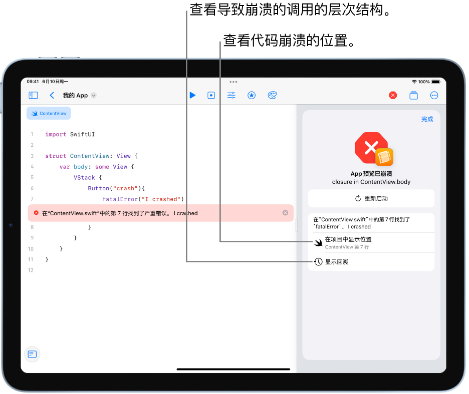 屏幕显示与 App 运行期间所发生崩溃相关的信息。