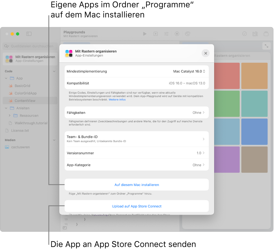 Das Fenster „App-Einstellungen“ für eine App, die Inhalte in einer Rasterdarstellung organisiert. Du kannst die Steuerelemente in diesem Fenster verwenden, um deine App im Ordner „Programme“ auf dem Mac zu installieren, und kannst die App zu App Store Connect hochladen.