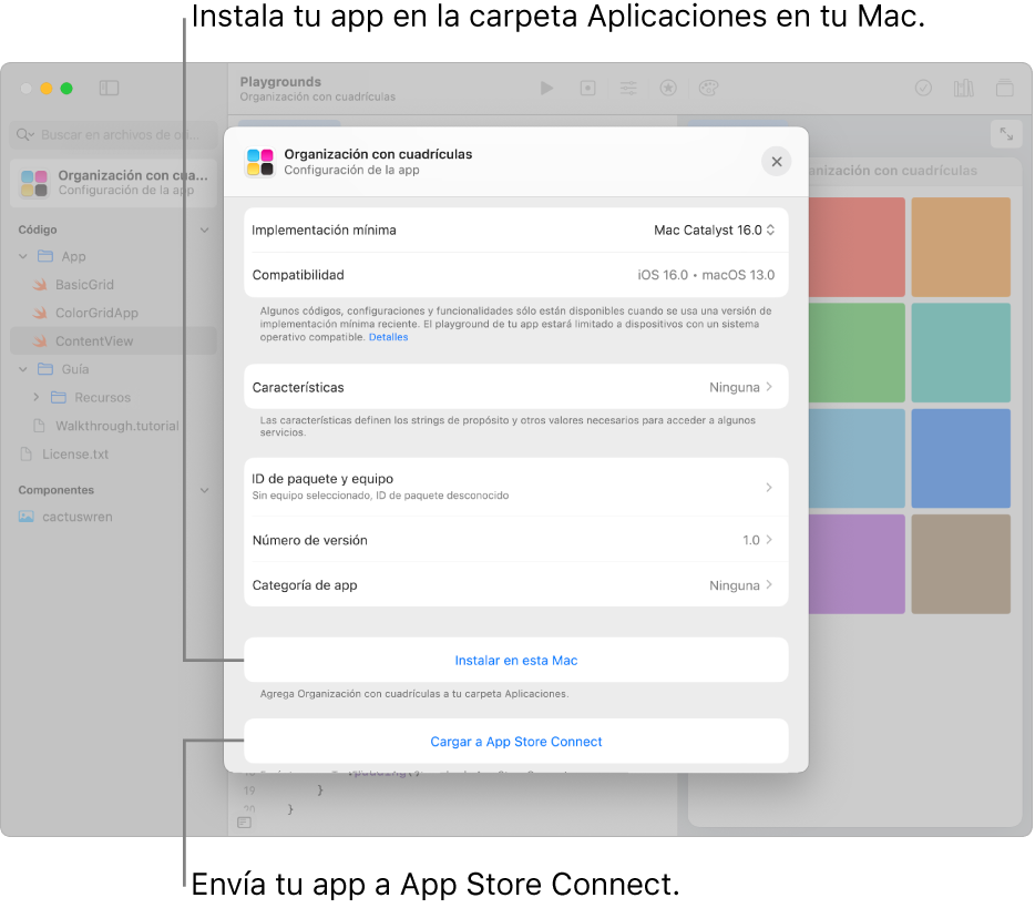 La ventana Configuración de app de una app que organiza el contenido utilizando una visualización de cuadrícula. Puedes usar los controles de esta ventana para instalar tu app en la carpeta Aplicaciones de tu Mac, y enviar tu app a App Store Connect.
