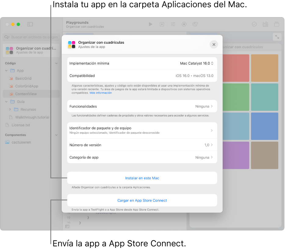 La ventana “Ajustes de la app” de una app que organiza el contenido usando una vista de cuadrícula. Puedes usar los controles de esta ventana para instalar tu app en la carpeta Aplicaciones del Mac y para subirla a App Store Connect.