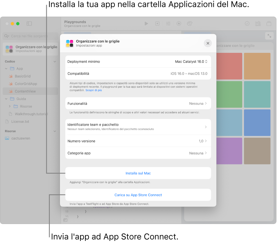 La finestra “Impostazioni app” di un’app che organizza i contenuti tramite una vista a griglia. Puoi utilizzare i controlli in questa finestra per installare la tua app nella cartella Applicazioni sul Mac e per caricarla su App Store Connect.