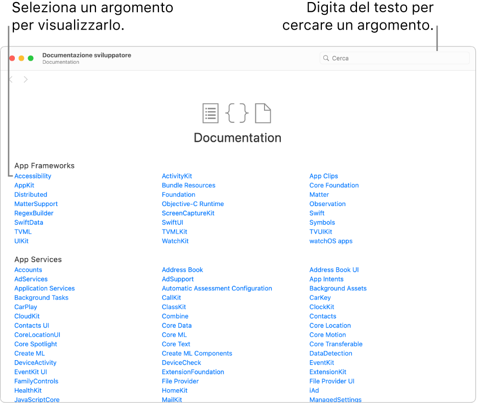 La documentazione per sviluppatori di Swift che mostra l’indice, l’icona per la ricerca in alto a destra e gli argomenti su cui puoi fare clic per consultarli.