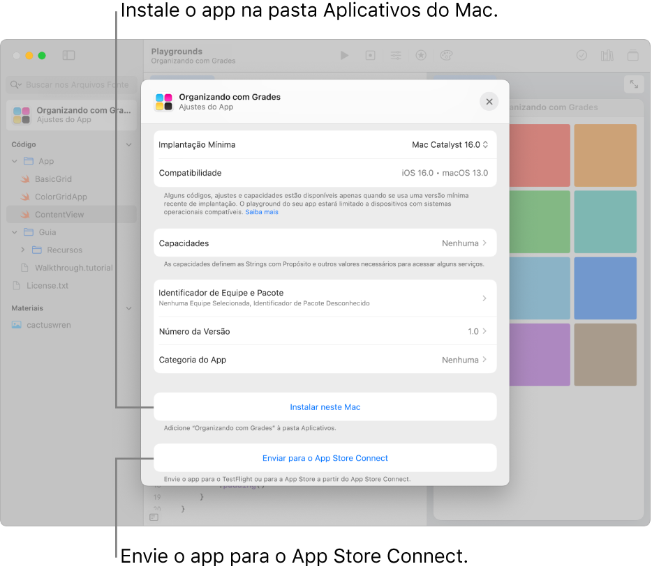 A janela Ajustes do App de um app que usa uma visualização por grade para organizar conteúdo. Você pode usar os controles nessa janela para instalar o app na pasta Aplicativos do Mac e enviar o app para o App Store Connect.