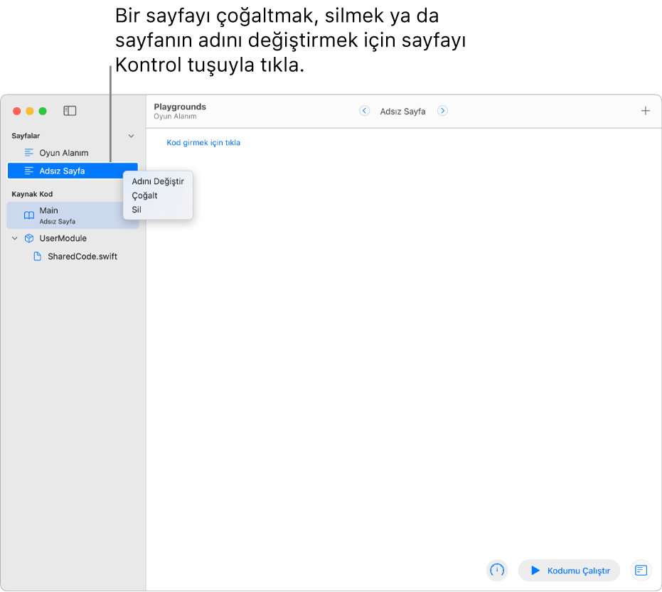 Kenar çubuğu açık, sayfalar, modüller ve dosyalar listesi gösterilen bir oyun alanı kitabı. Kenar çubuğundaki sayfalardan birinin, Adını Değiştir, Çoğalt ve Sil sayfa komutlarını gösteren kestirme menüsü açıktır.
