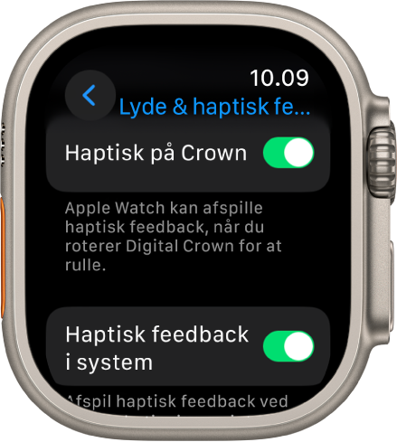 Skærmen Haptisk på Crown viser, at Haptisk på Crown er slået til. Kontakten Haptisk feedback i system vises nedenunder.
