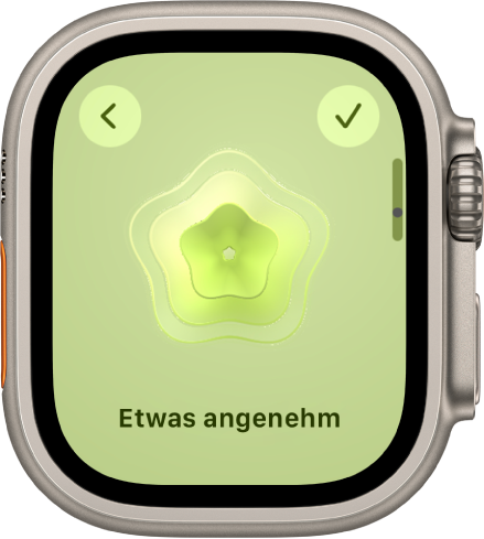 Der Bildschirm „Gemütszustand“ in der App „Achtsamkeit“.