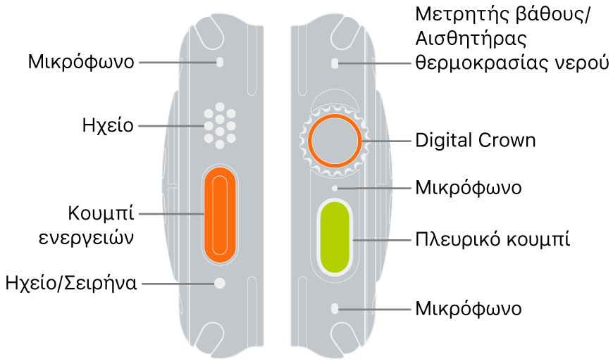 Οι δύο πλευρές του Apple Watch Ultra. Η αριστερή εικόνα δείχνει το πίσω μέρος του Apple Watch Ultra στα αριστερά. Από πάνω προς τα κάτω, οι ενδείξεις υποδεικνύουν ένα μικρόφωνο, ένα ηχείο, το κουμπί Ενέργειας και μια θύρα ηχείου από την οποία εκπέμπει η σειρήνα. Στη δεξιά εικόνα εμφανίζεται το πίσω μέρος του Apple Watch Ultra στα δεξιά. Από πάνω προς τα κάτω, οι ενδείξεις υποδεικνύουν τον αισθητήρα θερμοκρασίας βάθους/νερού, το Digital Crown, το μικρόφωνο, το πλευρικό κουμπί και ένα άλλο μικρόφωνο.