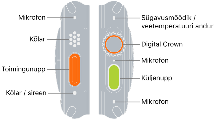 Apple Watch Ultra kaks külge. Vasakpoolsel pildil on Apple Watch Ultra tagakülg vasakult. Ülevalt alla osutavad väljaviigud mikrofonile, kõlarile, toimingunupule ning sireeni väljastavale kõlaripordile. Parempoolsel pildil on kella Apple Watch Ultra tagakülg paremalt. Ülevalt alla osutavad väljaviigud sügavusmõõdikule / veetemperatuuri andurile, Digital Crownile, küljenupule ning teisele mikrofonile.