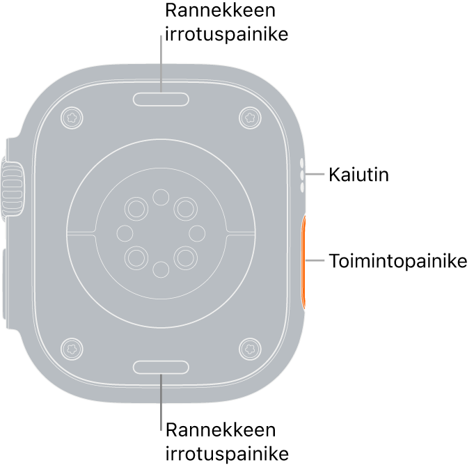 Apple Watch Ultran takaosa, jossa on rannekkeen irrotuspainikkeet ylhäällä ja alhaalla, sähköiset sykeanturit, optiset sykeanturit ja veren happitason anturit keskellä sekä kaiutin/ilmastointiaukot sivulla.