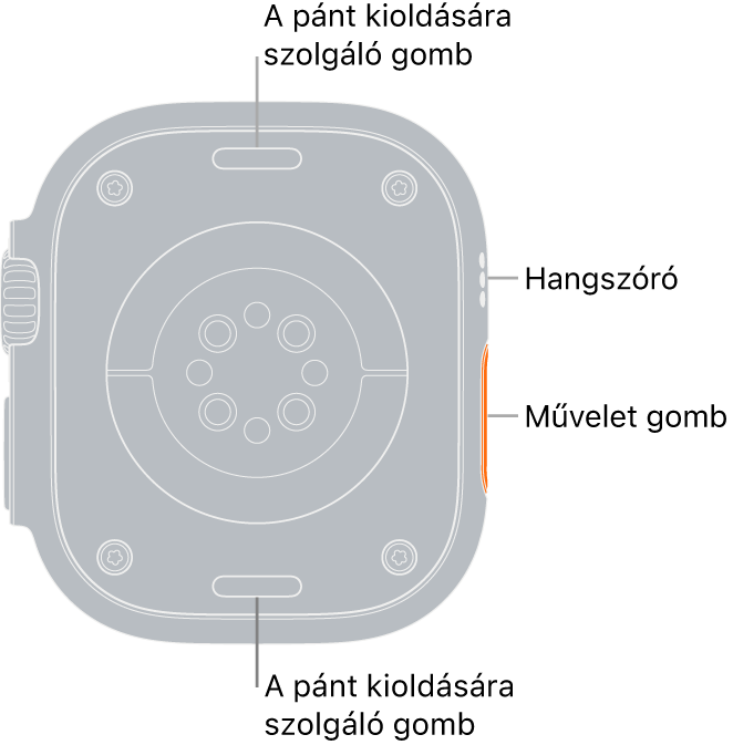 Az Apple Watch Ultra hátlapja a szíjkioldó gombokkal felül és alul, az elektromos szívérzékelőkkel, az optikai szívérzékelőkkel és véroxigén-érzékelőkkel középen, valamint a hangszóróval és szellőzőnyílásokkal oldalt.