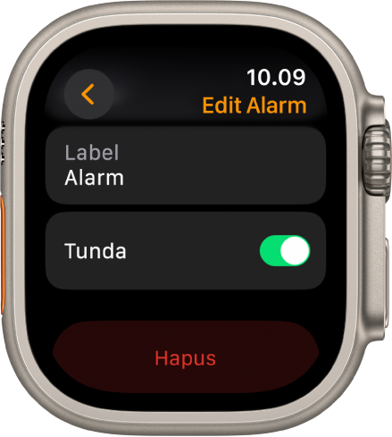 Layar Edit Alarm, dengan tombol Hapus di bagian bawah.