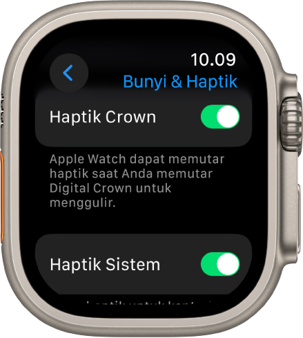 Layar Haptik Crown, menampilkan pengalih Haptik Crown yang dinyalakan. Pengalih Haptik Sistem di bawah.