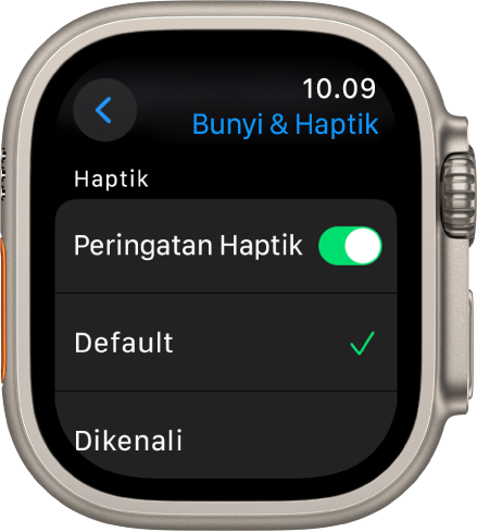 Peringatan Bunyi & Haptik di Apple Watch, dengan pengalih Peringatan Haptik, dan pilihan Default dan Dikenali di bawahnya.