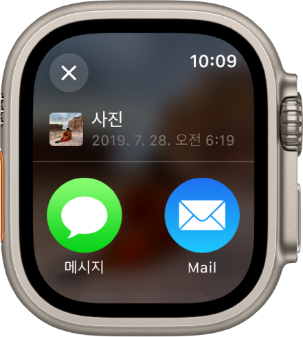 사진 앱의 공유 화면. 화면 상단에 공유한 사진이 있고, 하단에 메시지 및 Mail 버튼이 있음.