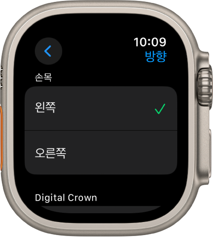 Apple Watch 방향 화면. 손목 및 Digital Crown 환경설정을 설정할 수 있음.