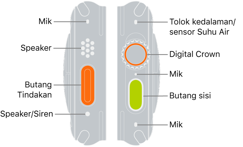 Dua sisi Apple Watch Ultra. Imej kiri menunjukkan bahagian belakang Apple Watch Ultra di sebelah kiri. Dari atas ke bawah, petak bual menuding ke mikrofon, speaker, butang Tindakan dan port speaker yang memancarkan siren. Imej kanan menunjukkan bahagian belakang Apple Watch Ultra di sebelah kanan. Dari atas ke bawah, petak bual menuding ke tolok Kedalaman/sensor Suhu Air, Digital Crown, mikrofon, butang Sisi dan mikrofon lain.