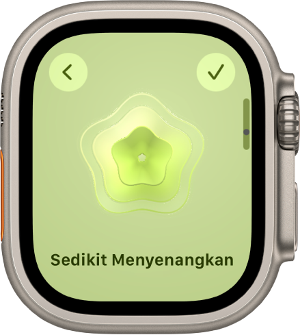 Skrin Keadaan Minda dalam app Sedar Minda.