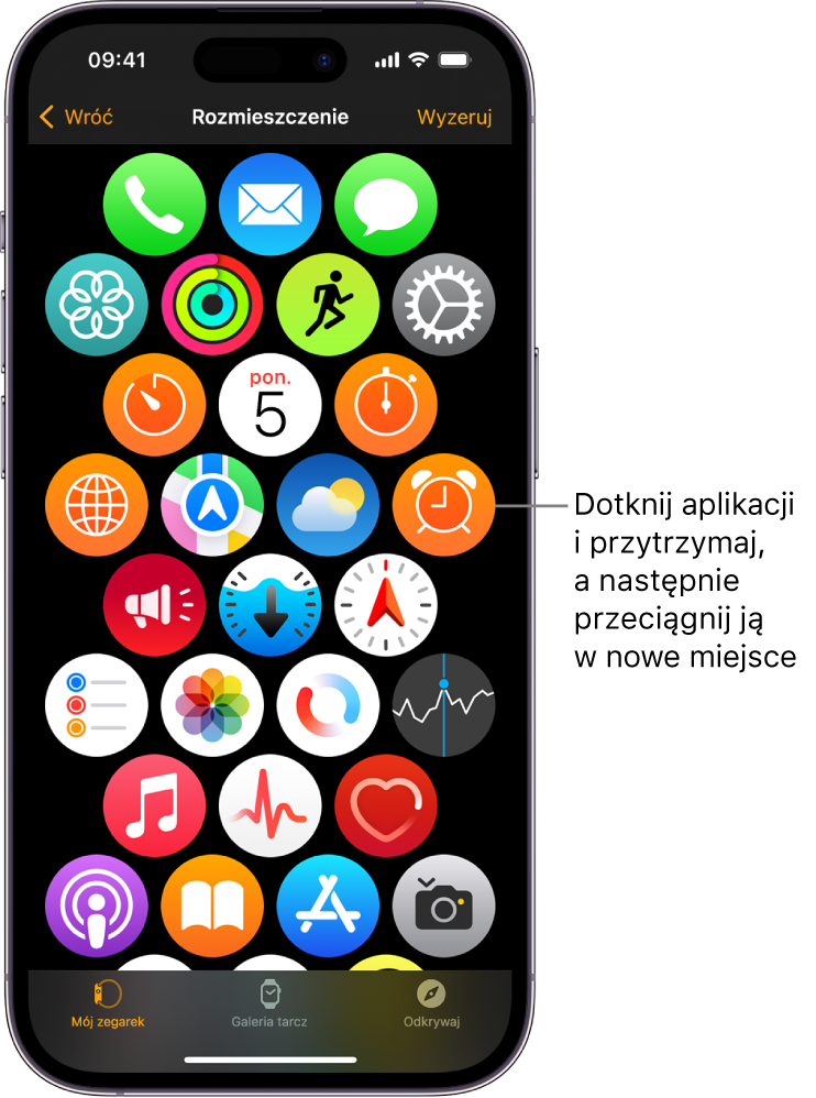 Ekran Rozmieszczenie w aplikacji Watch, wyświetlający siatkę ikon.