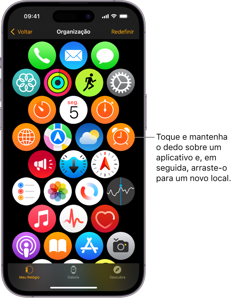 A tela Organização no app Apple Watch mostrando uma grade de ícones.
