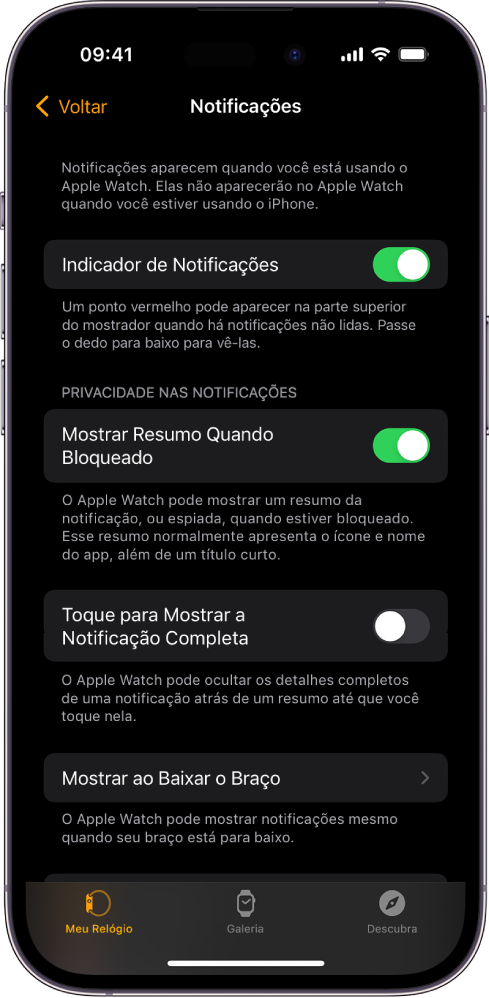 Tela de Notificações no app Apple Watch do iPhone, mostrando fontes de notificações.