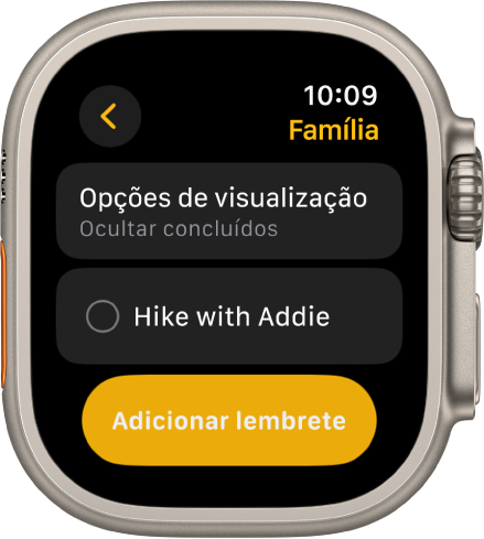 A aplicação Lembretes a mostrar um lembrete. O botão “Ver opções” encontra-se na parte superior, com um lembrete por baixo. Na parte inferior encontra-se um botão “Adicionar lembrete”.