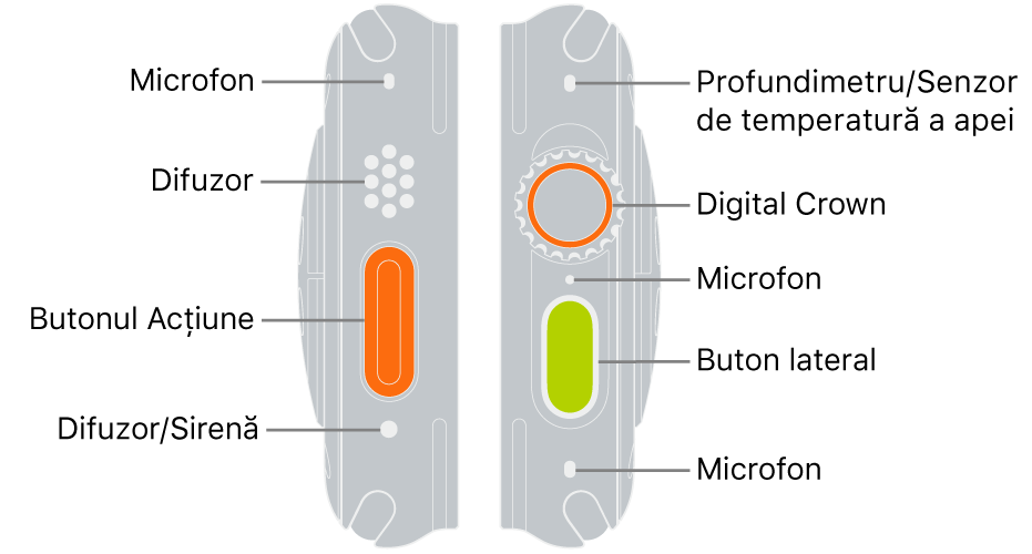 Cele două părți ale unui Apple Watch Ultra. Imaginea din stânga prezintă spatele unui Apple Watch Ultra pe partea stângă. De sus în jos, explicațiile indică spre un microfon, un difuzor, butonul Acțiune și un port de difuzor, de unde emite sirena. Imaginea din dreapta prezintă spatele unui Apple Watch Ultra pe partea dreaptă. De sus în jos, explicațiile indică spre altimetru /senzorul de temperatură a apei, coroana Digital Crown, microfon, butonul lateral și un alt microfon.