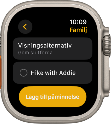 Appen Påminnelser visar en påminnelse. Knappen Visningsalternativ är överst med en påminnelse nedanför. Längst ned finns knappen Lägg till påminnelse.