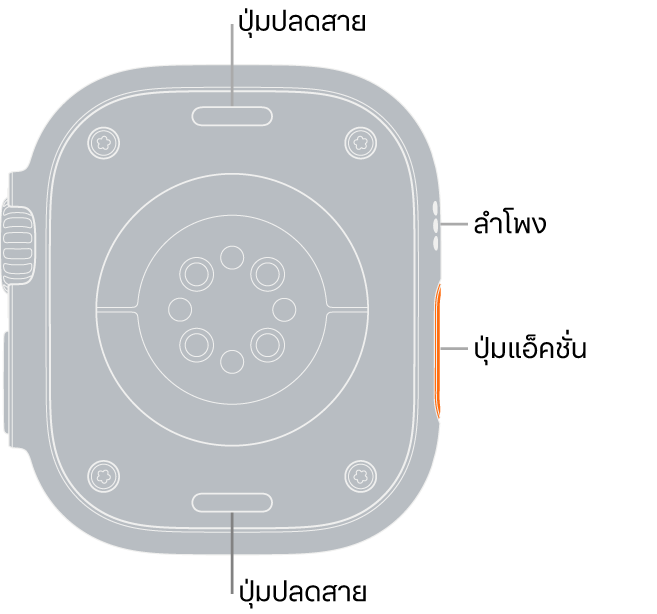 ด้านหลังของ Apple Watch Ultra ที่มีปุ่มปลดสายที่ด้านบนสุดและที่ด้านล่างสุด เซ็นเซอร์วัดคลื่นไฟฟ้าหัวใจ เซ็นเซอร์หัวใจออปติคัล และเซ็นเซอร์วัดออกซิเจนในเลือดที่ตรงกลาง และลำโพง/ช่องระบายอากาศที่ด้านข้าง
