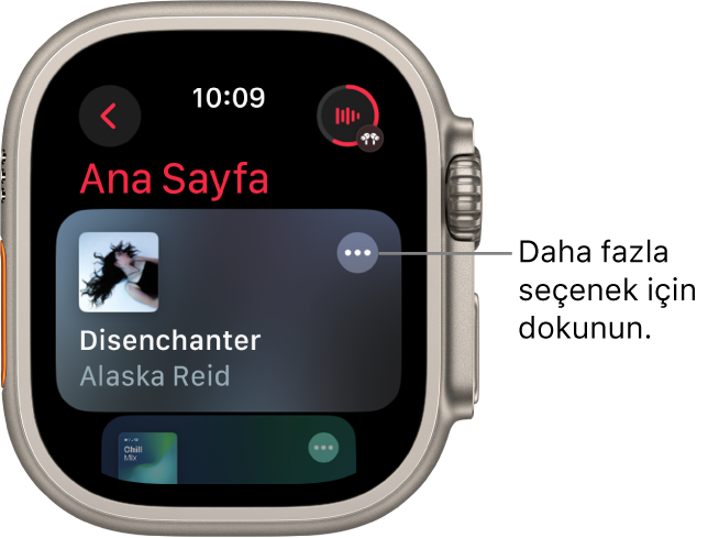 Müzik uygulaması, bir albümün gösterildiği Ana ekranı gösteriyor. Daha Fazla Seçenek düğmesi sağda. Sağ üst tarafta Şu An Çalınan düğmesi var. Geri düğmesi sol üstte.