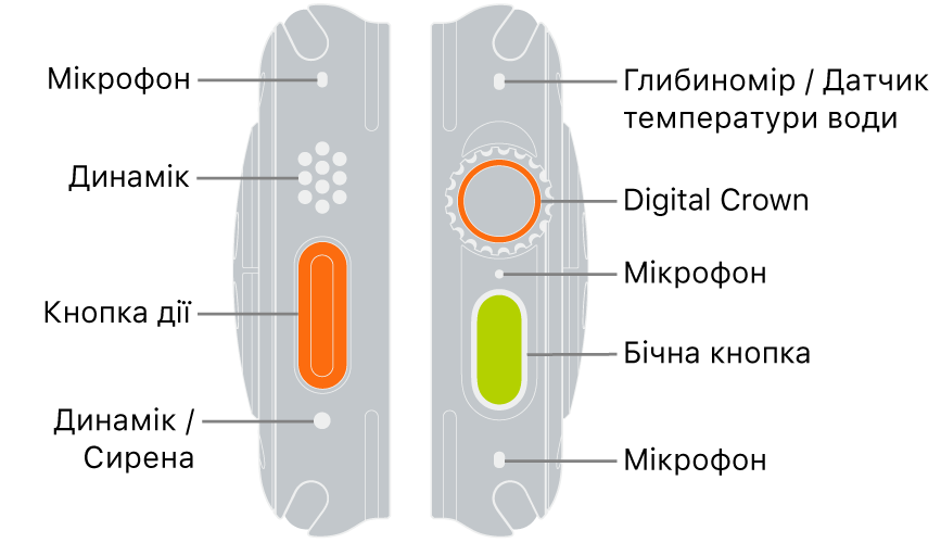 Вигляд Apple Watch Ultra з двох боків. На зображенні ліворуч показано ліву частину задньої панелі Apple Watch Ultra. Зверху донизу виноски показують мікрофон, динамік, кнопку дії та порт динаміка, з якого подається сирена. На зображенні праворуч показано праву частину задньої панелі Apple Watch Ultra. Зверху донизу виноски показують глибиномір/датчик температури води, коронку Digital Crown, бічну кнопку та ще один мікрофон.