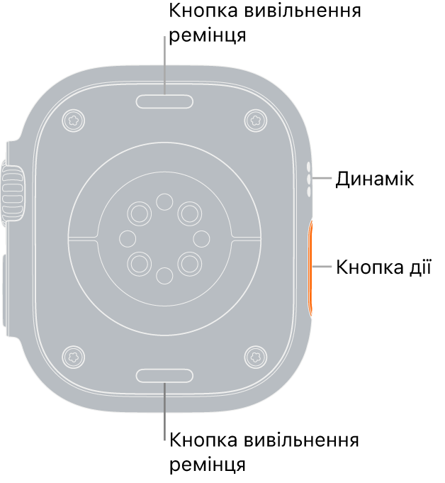Задня панель Apple Watch Ultra із кнопками вивільнення ремінця вгорі та внизу, електричними датчиками серцевого ритму, оптичними датчиками серцевого ритму й датчиками рівня кисню в крові посередині, а також динаміком/вентиляційними отворами збоку.