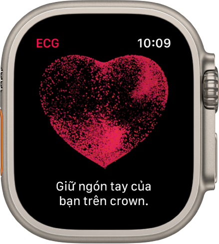 Ứng dụng ECG đang hiển thị hình ảnh về một trái tim và các từ “Giữ ngón tay của bạn trên crown”.