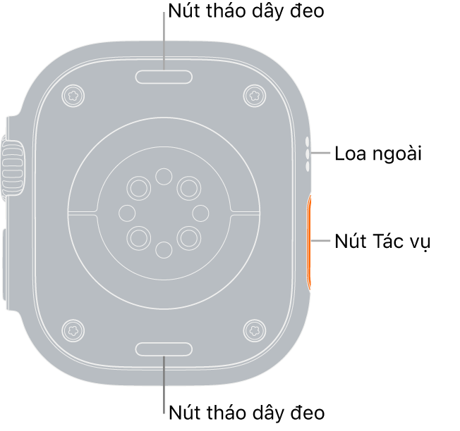 Mặt sau của Apple Watch Ultra, với các nút tháo dây ở trên cùng và dưới cùng, các cảm biến tim điện, các cảm biến tim quang học và các cảm biến ôxi trong máu ở giữa và loa/lỗ thông gió trên sườn.
