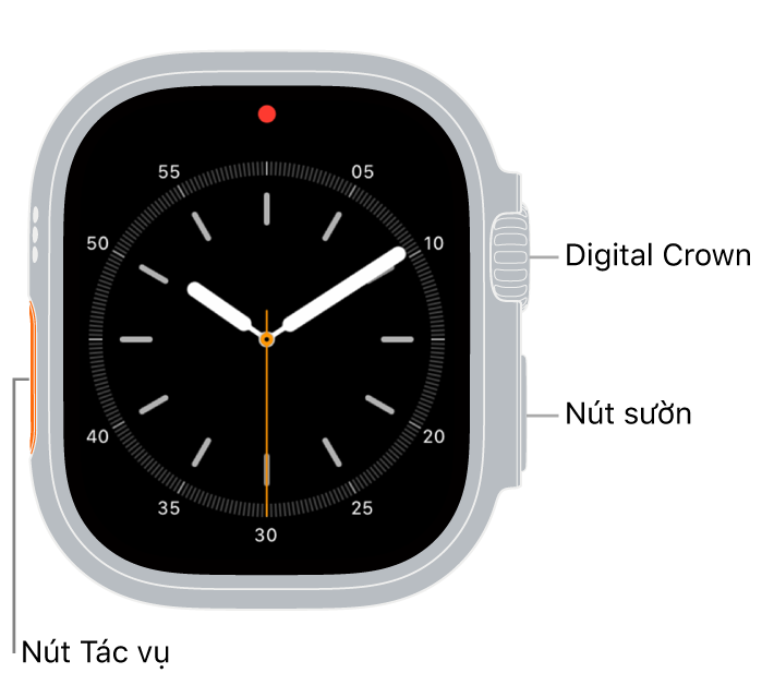 Mặt trước của Apple Watch Ultra, với màn hình đang hiển thị mặt đồng hồ và Digital Crown, micrô và nút sườn từ trên xuống dưới trên sườn của đồng hồ.