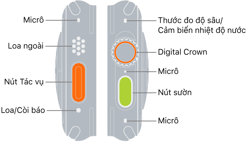 Hai cạnh của Apple Watch Ultra. Hình ảnh bên trái hiển thị mặt sau của Apple Watch Ultra ở bên trái. Từ trên xuống dưới, các chú thích trỏ đến một micrô, một loa, nút Tác vụ và một cổng loa mà còi báo phát ra từ đó. Hình ảnh bên phải hiển thị mặt sau của Apple Watch Ultra ở bên phải. Từ trên xuống dưới, các chú thích trỏ đến thước đo Độ sâu/cảm biến Nhiệt độ nước, Digital Crown, micrô, nút sườn và một micrô khác.