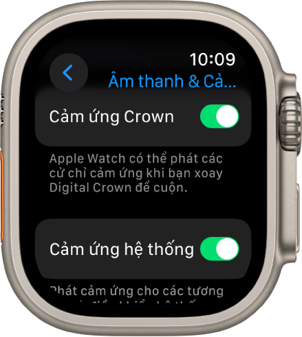 Màn hình Cảm ứng Crown, đang hiển thị công tắc Cảm ứng Crown được bật. Công tắc Cảm ứng hệ thống ở bên dưới.