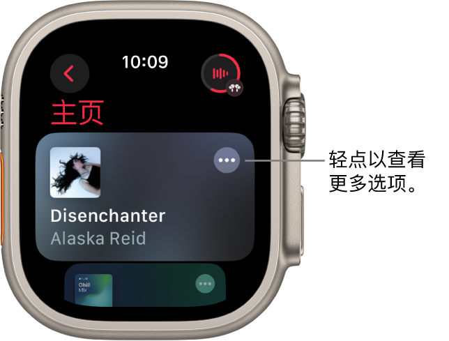 “音乐” App 显示“主页”屏幕以及一张专辑。右侧是“更多选项”按钮。右上方是“播放中”按钮。左上方为“返回”按钮。