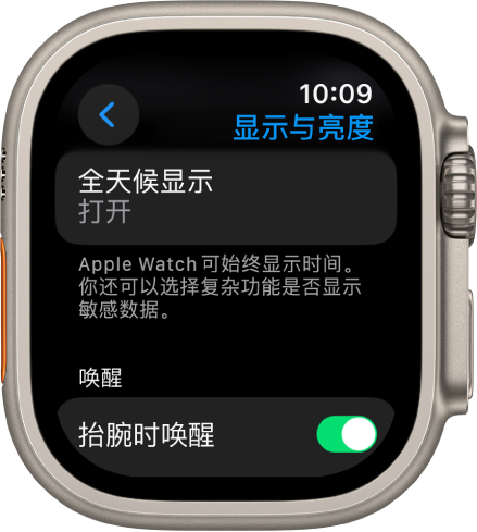 “显示与亮度”屏幕,显示“全天候显示”按钮。